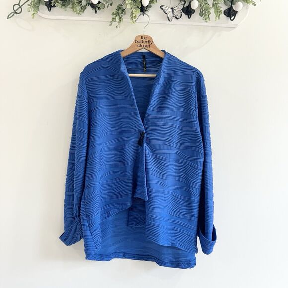 IC By Connie k Blue Textured Toggle Closure Sweater Small - Picture 1 of 5